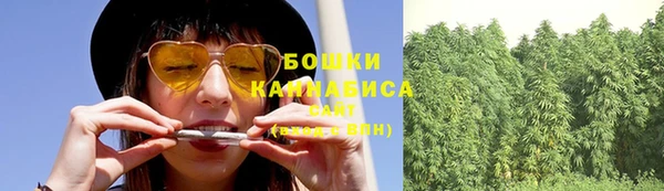 СК Бронницы