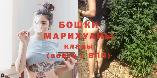 СК Бронницы
