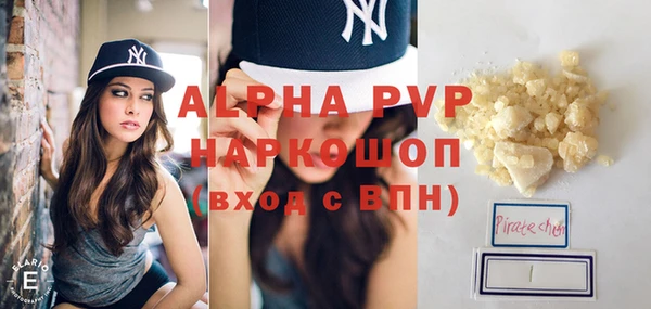 СК Бронницы