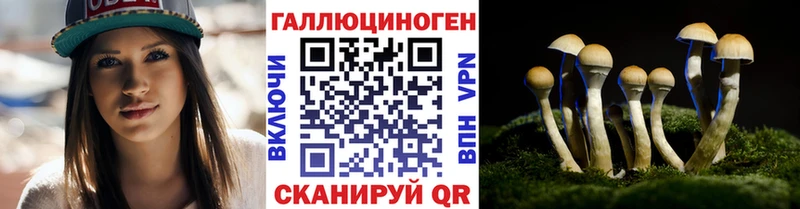 Псилоцибиновые грибы Psilocybine cubensis  Купить где  Серов 